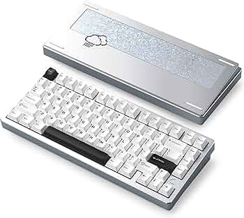 81jsHT-+g7L._UF350,350_QL50_.jpg